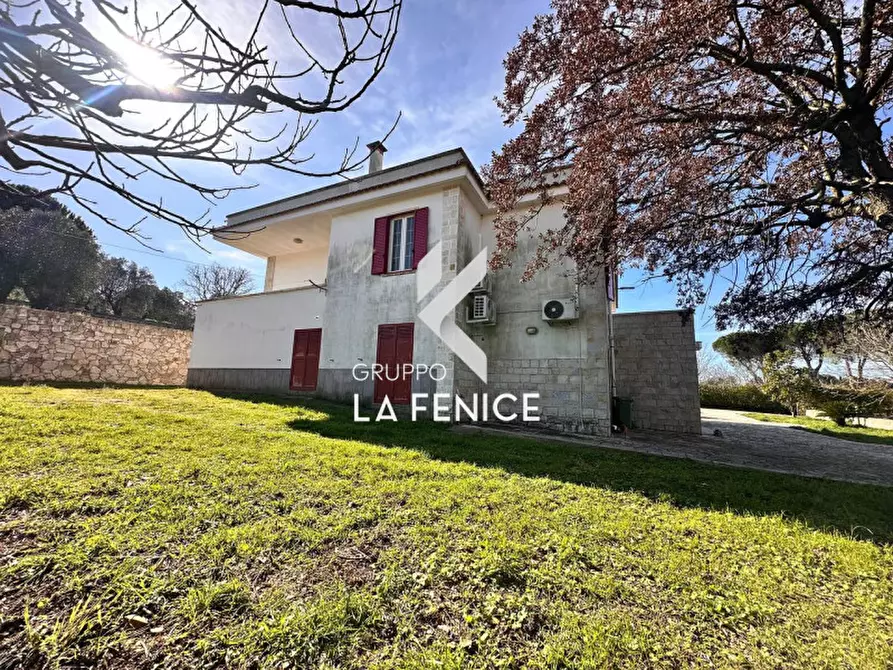 Immagine 17 di Villa in vendita  in c.da serralta a Locorotondo