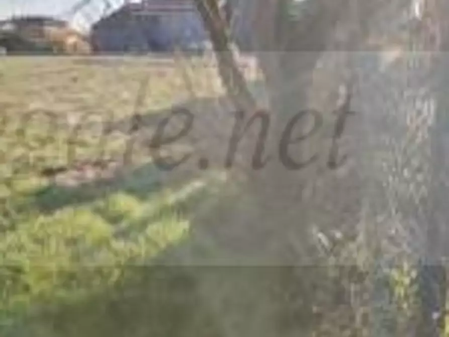 Immagine 4 di Terreno in vendita  in VIA PAPA GIOVANNI PAOLO II a Orgiano