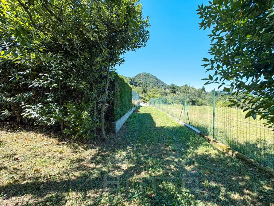 Immagine 61 di Casa indipendente in vendita  in Via Lago a Nonio