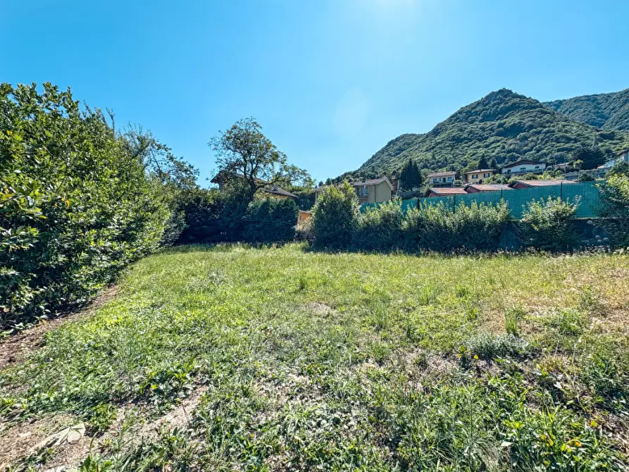 Immagine 67 di Casa indipendente in vendita  in Via Lago a Nonio