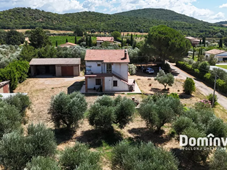 Immagine 7 di Rustico / casale in vendita  in Strada Campo delle Miniere a Capalbio