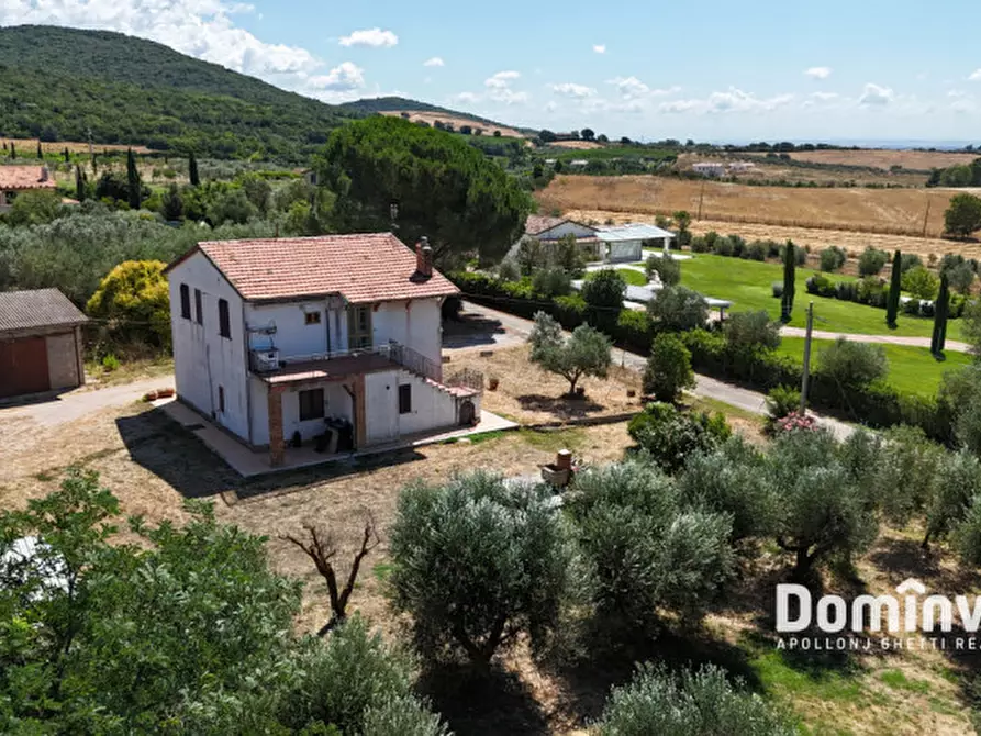 Immagine 8 di Rustico / casale in vendita  in Strada Campo delle Miniere a Capalbio