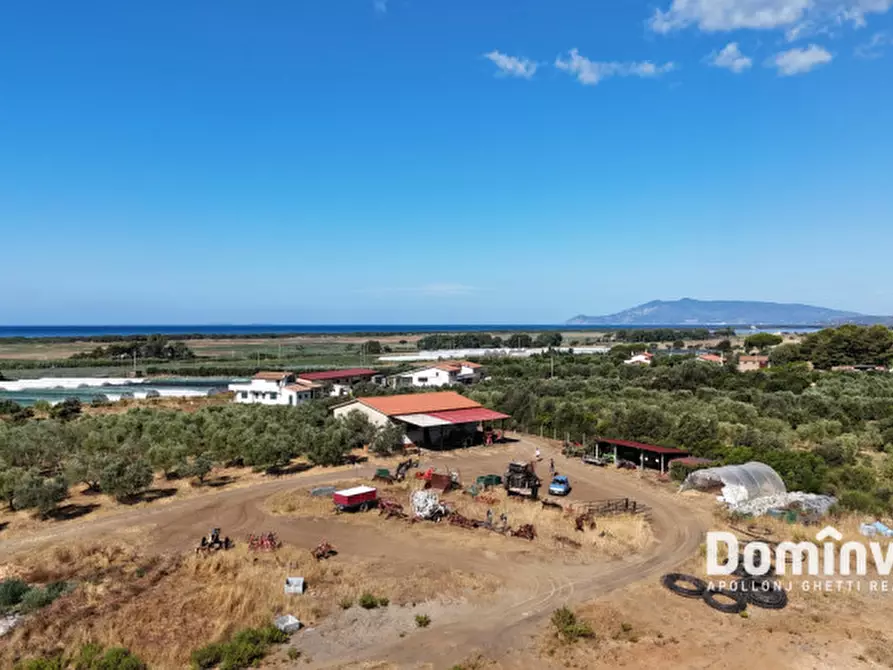 Immagine 1 di Rustico / casale in vendita  in Strada Origlio a Capalbio