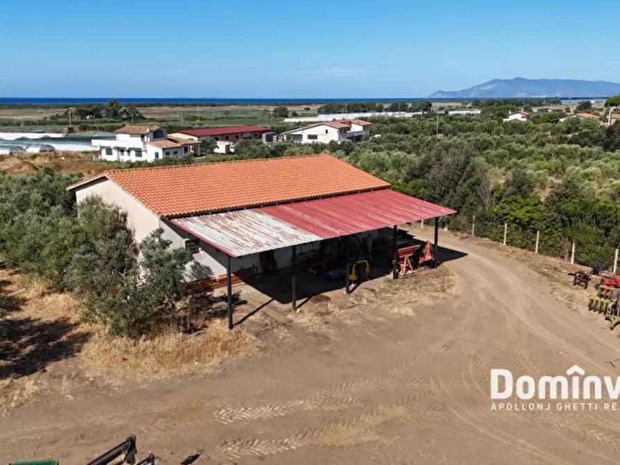 Immagine 4 di Rustico / casale in vendita  in Strada Origlio a Capalbio