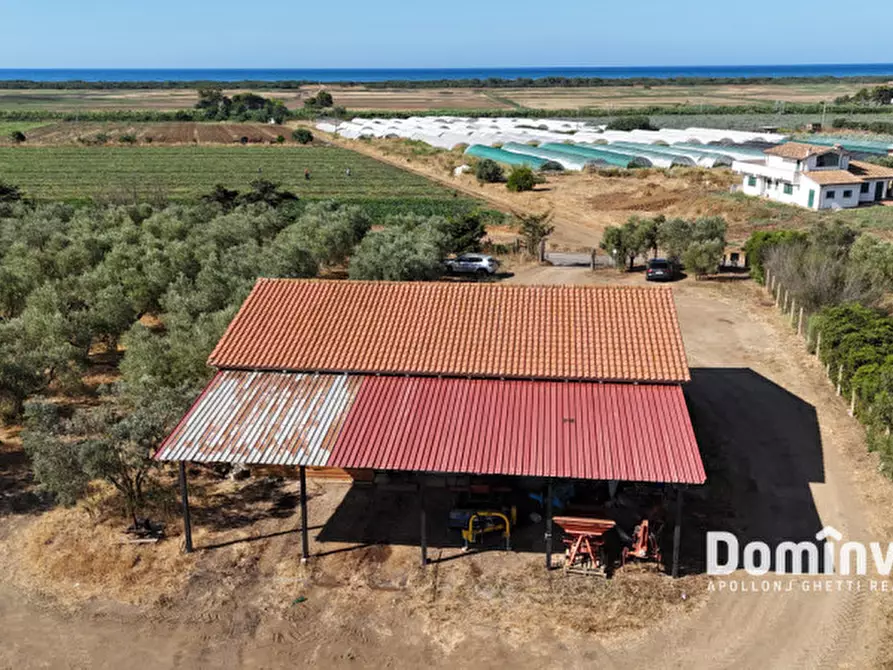 Immagine 5 di Rustico / casale in vendita  in Strada Origlio a Capalbio