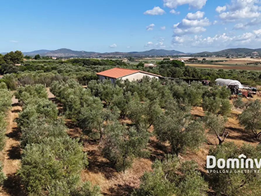 Immagine 6 di Rustico / casale in vendita  in Strada Origlio a Capalbio