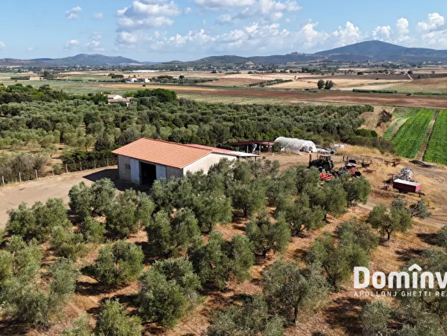 Immagine 7 di Rustico / casale in vendita  in Strada Origlio a Capalbio