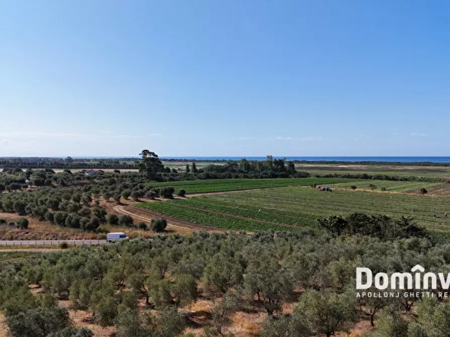 Immagine 10 di Rustico / casale in vendita  in Strada Origlio a Capalbio
