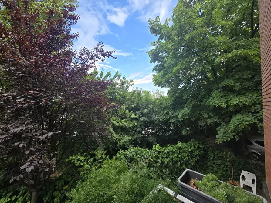 Immagine 20 di Camera in vendita  a Modena