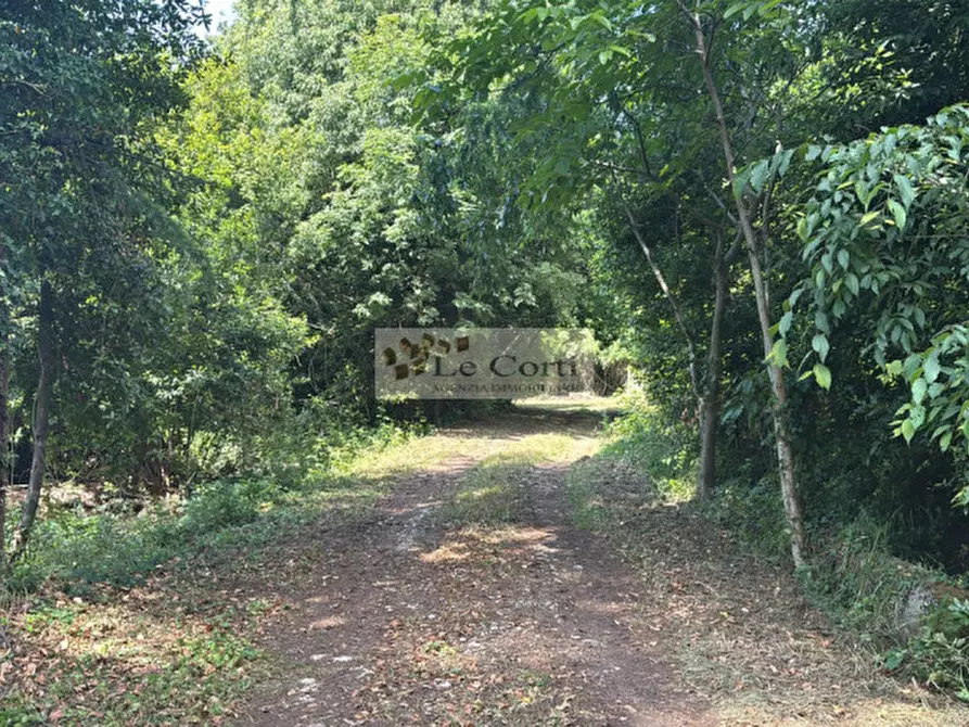 Immagine 1 di Rustico / casale in vendita  a Arcugnano
