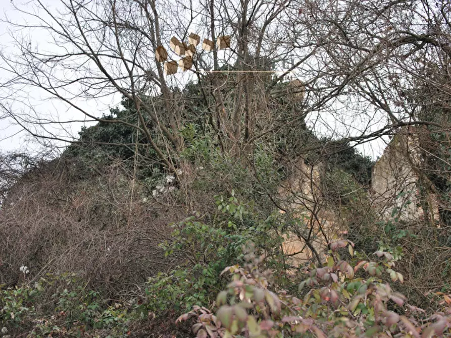 Immagine 2 di Rustico / casale in vendita  a Arcugnano