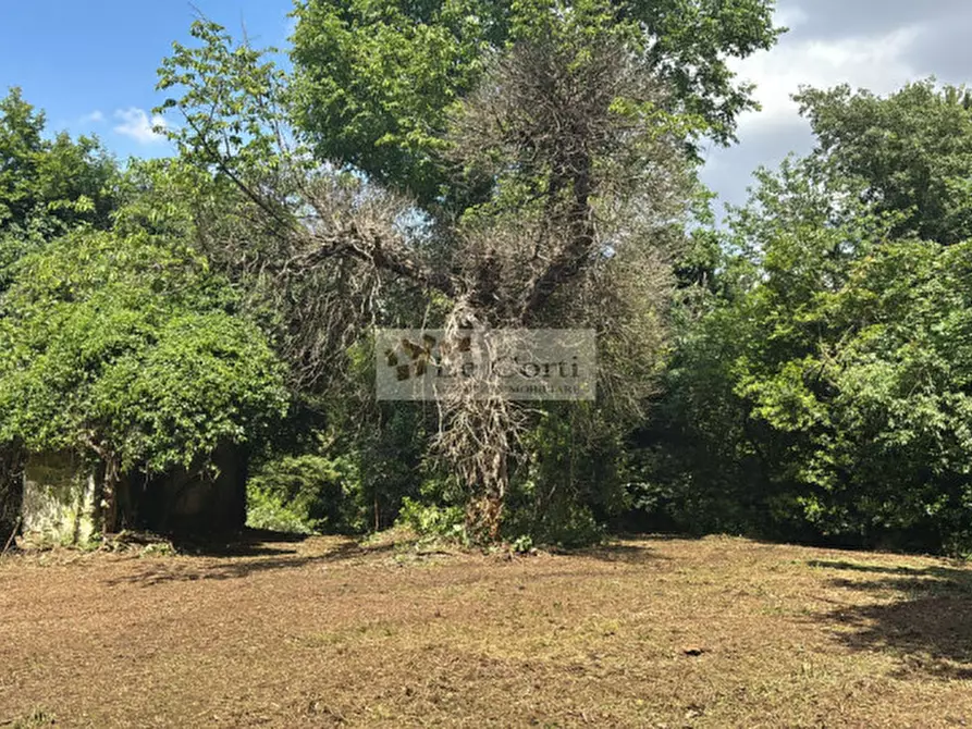 Immagine 2 di Rustico / casale in vendita  a Arcugnano