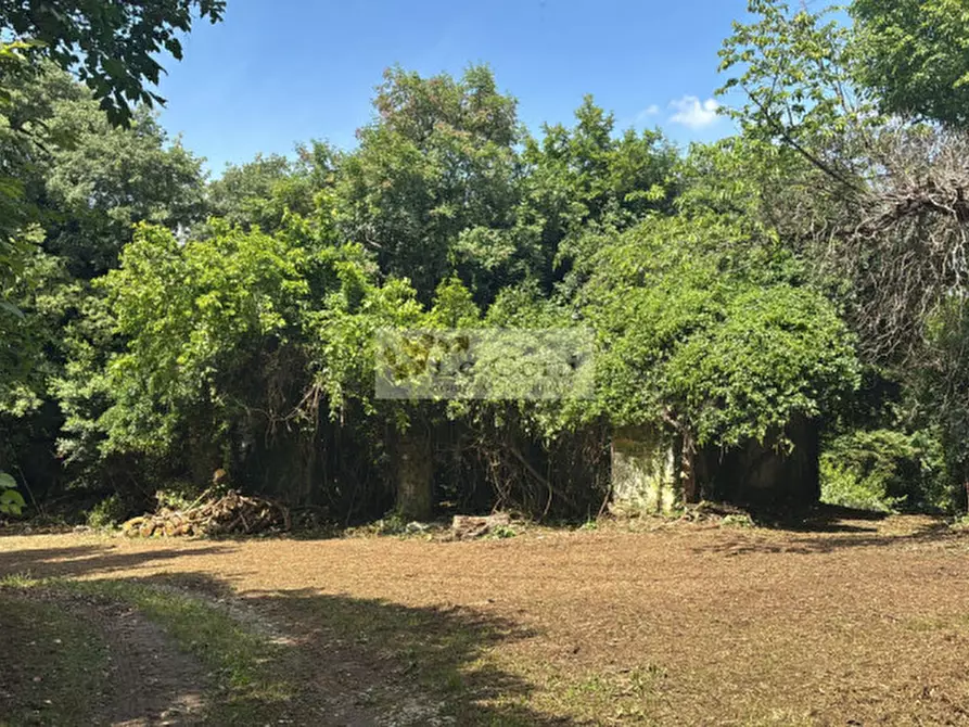 Immagine 3 di Rustico / casale in vendita  a Arcugnano