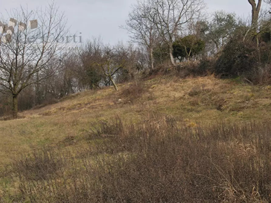 Immagine 5 di Rustico / casale in vendita  a Arcugnano