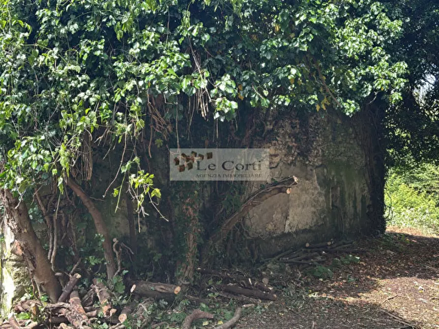 Immagine 5 di Rustico / casale in vendita  a Arcugnano