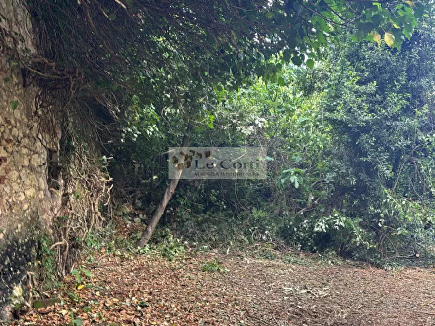 Immagine 6 di Rustico / casale in vendita  a Arcugnano