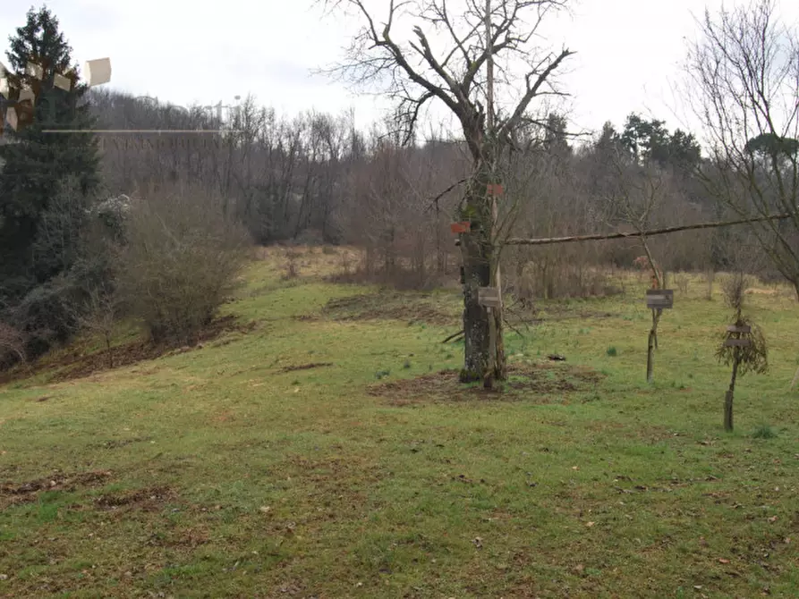 Immagine 7 di Rustico / casale in vendita  a Arcugnano
