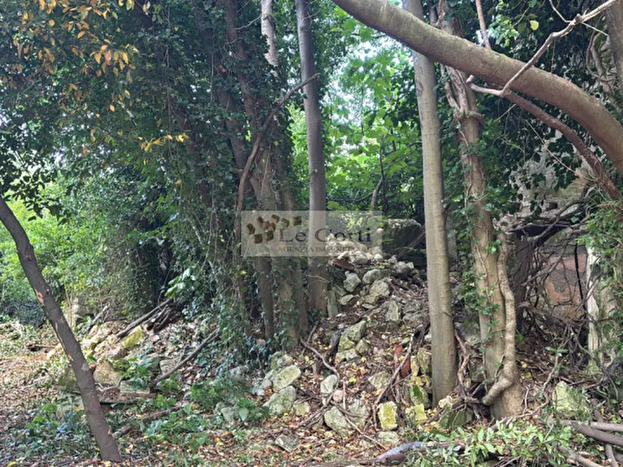 Immagine 7 di Rustico / casale in vendita  a Arcugnano