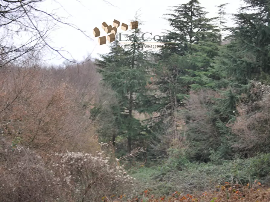 Immagine 8 di Rustico / casale in vendita  a Arcugnano