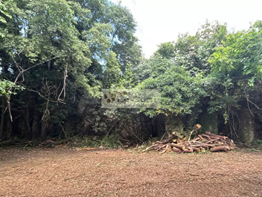 Immagine 8 di Rustico / casale in vendita  a Arcugnano