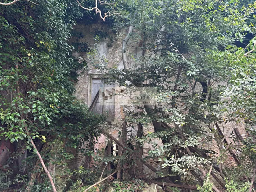 Immagine 10 di Rustico / casale in vendita  a Arcugnano
