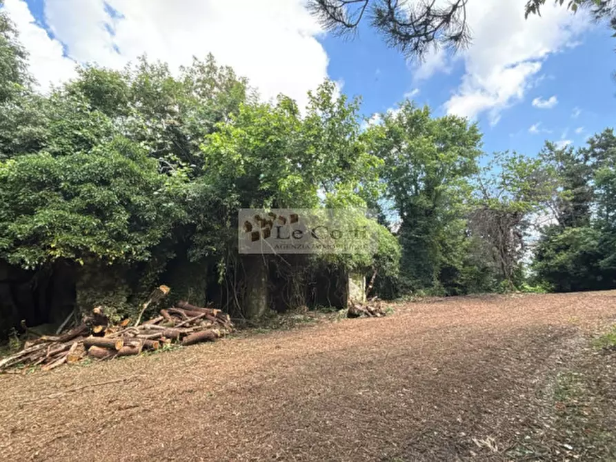 Immagine 11 di Rustico / casale in vendita  a Arcugnano