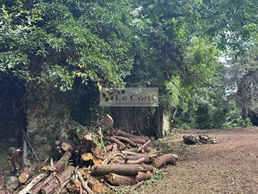 Immagine 12 di Rustico / casale in vendita  a Arcugnano