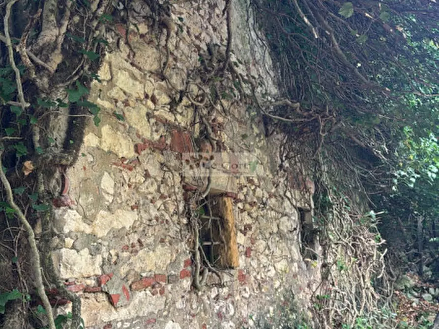 Immagine 14 di Rustico / casale in vendita  a Arcugnano