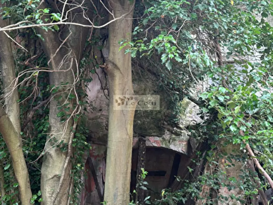 Immagine 16 di Rustico / casale in vendita  a Arcugnano