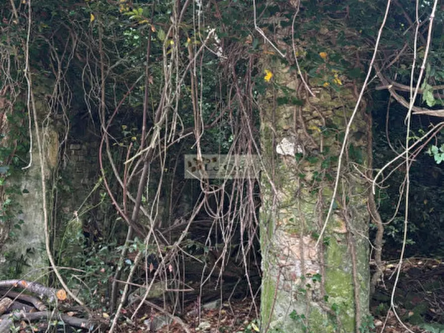 Immagine 17 di Rustico / casale in vendita  a Arcugnano