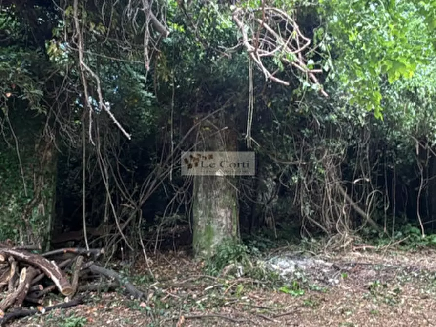 Immagine 18 di Rustico / casale in vendita  a Arcugnano