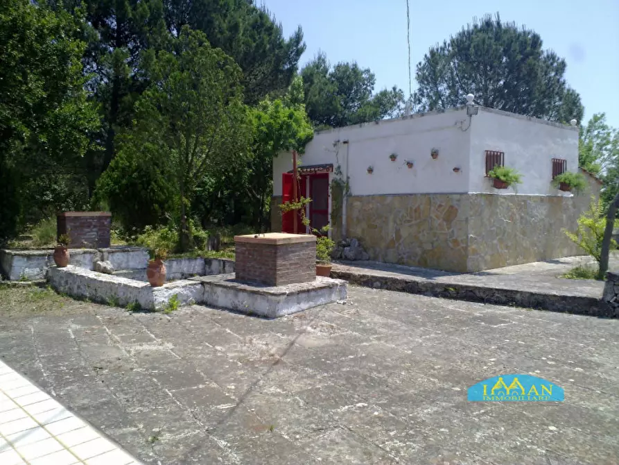 Immagine 25 di Rustico / casale in vendita  in Contrada Ulmo a Ceglie Messapico