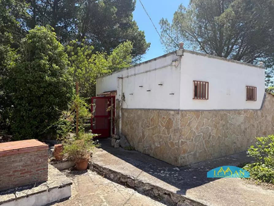 Immagine 43 di Rustico / casale in vendita  in Contrada Ulmo a Ceglie Messapico
