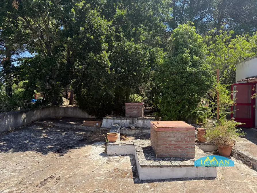 Immagine 46 di Rustico / casale in vendita  in Contrada Ulmo a Ceglie Messapico