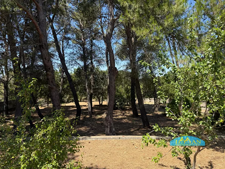 Immagine 55 di Rustico / casale in vendita  in Contrada Ulmo a Ceglie Messapico