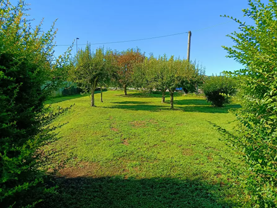 Immagine 5 di Casa indipendente in vendita  in Cantone Castello  76/b a Casale Monferrato