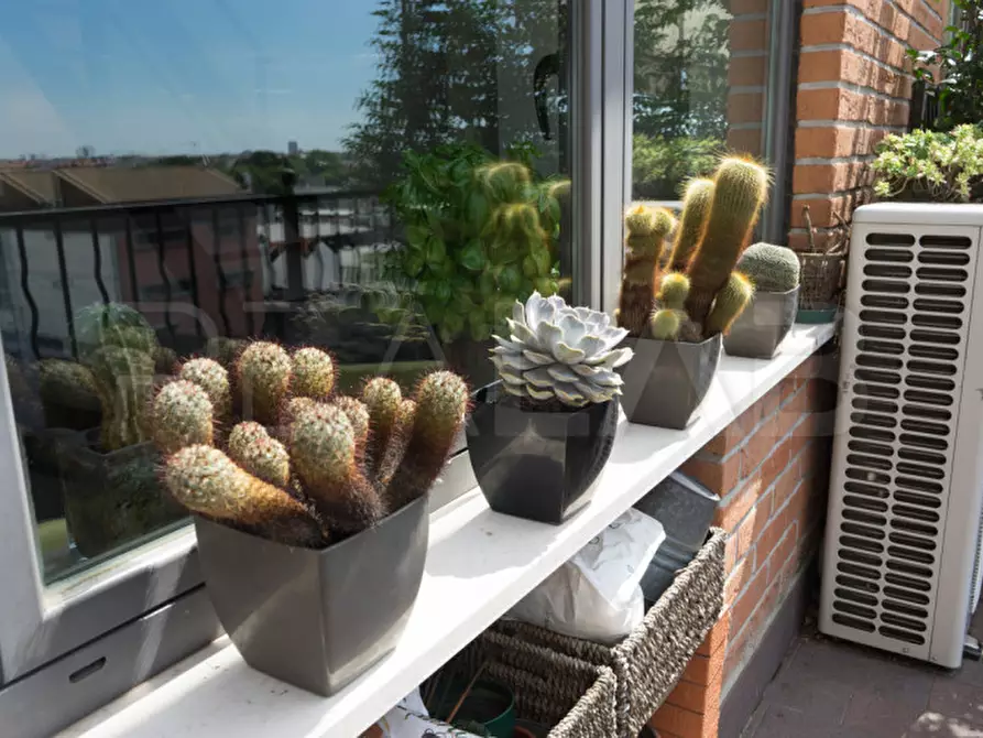 Immagine 29 di Attico in vendita  in via Mecenate 84 a Milano