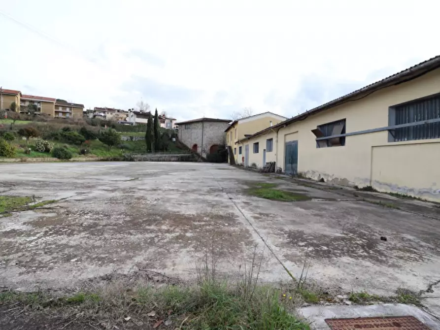 Immagine 22 di Attività commerciale in vendita  in levane a Montevarchi