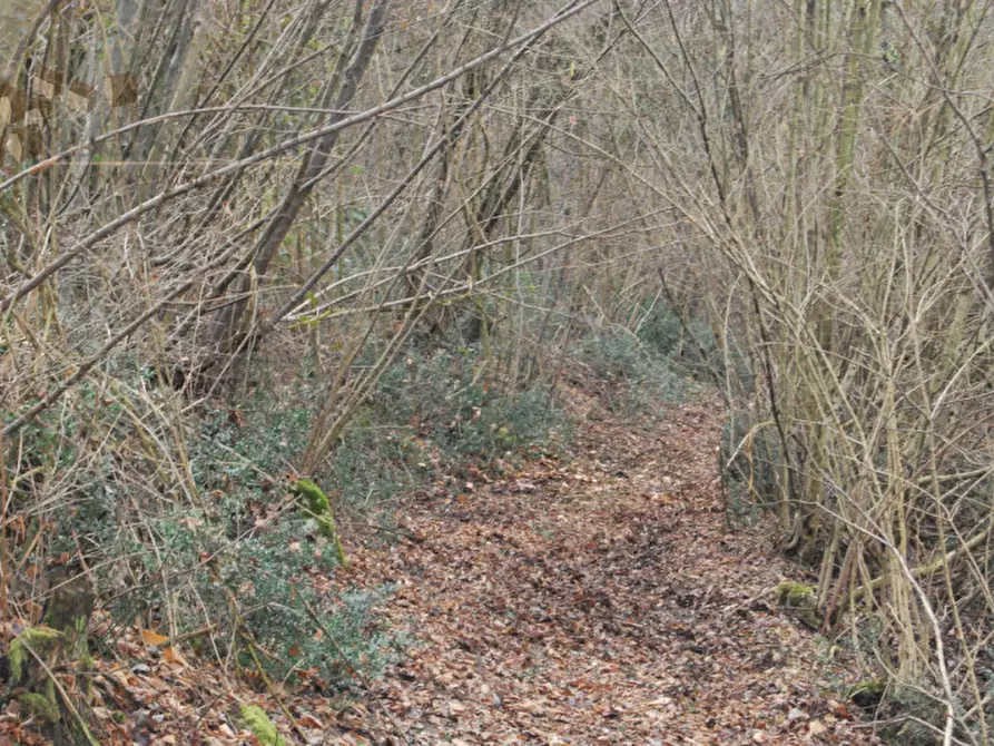 Immagine 3 di Terreno in vendita  a Arcugnano