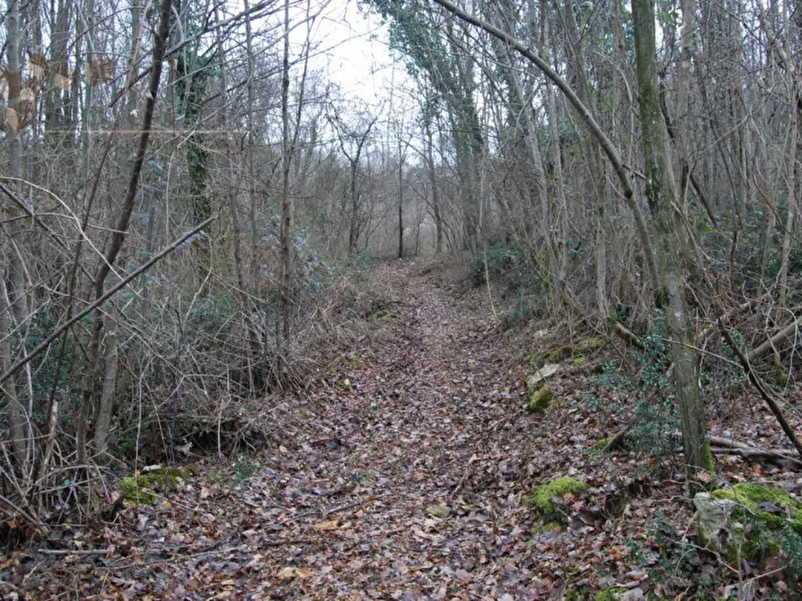 Immagine 4 di Terreno in vendita  a Arcugnano