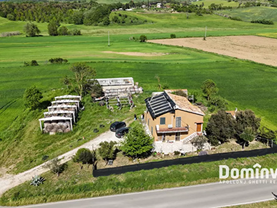 Immagine 2 di Rustico / casale in vendita  in Strada della Sgrilla a Capalbio