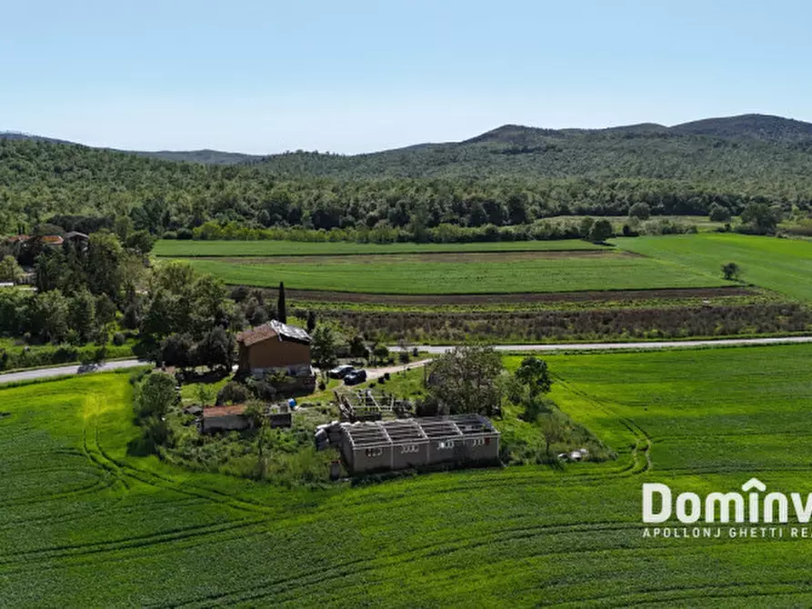 Immagine 3 di Rustico / casale in vendita  in Strada della Sgrilla a Capalbio