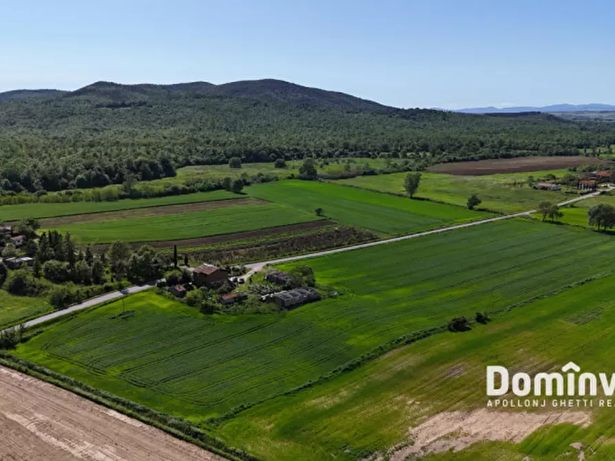 Immagine 5 di Rustico / casale in vendita  in Strada della Sgrilla a Capalbio