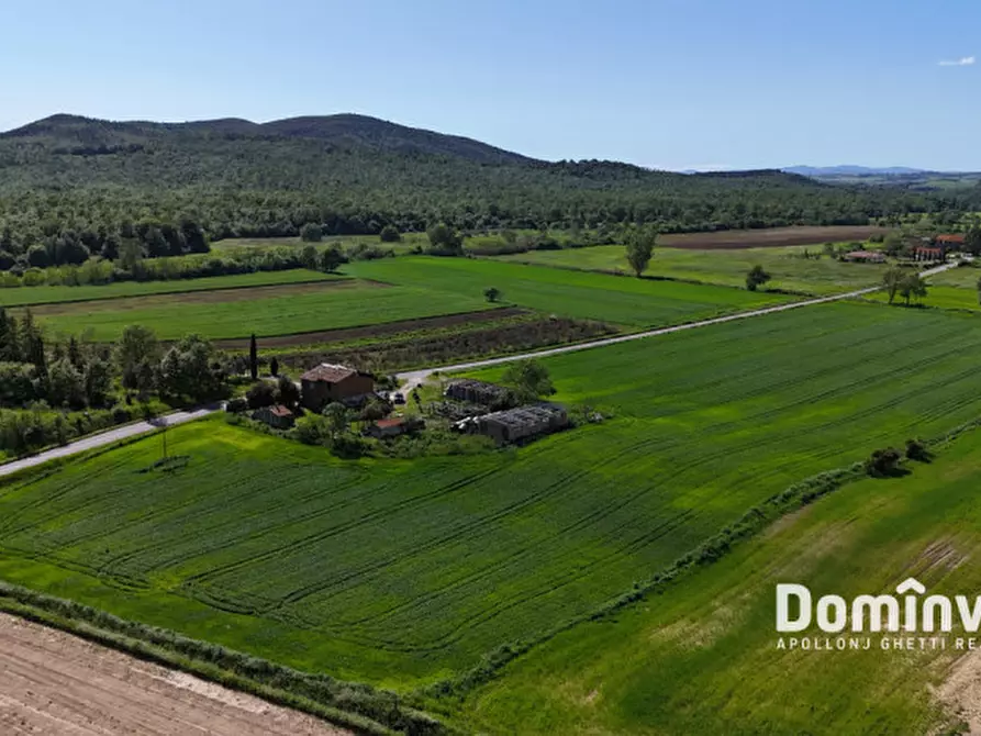 Immagine 6 di Rustico / casale in vendita  in Strada della Sgrilla a Capalbio