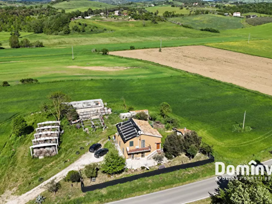 Immagine 6 di Rustico / casale in vendita  in Strada della Sgrilla a Capalbio