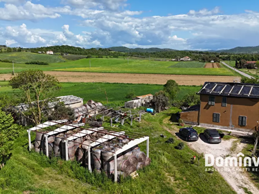 Immagine 8 di Rustico / casale in vendita  in Strada della Sgrilla a Capalbio