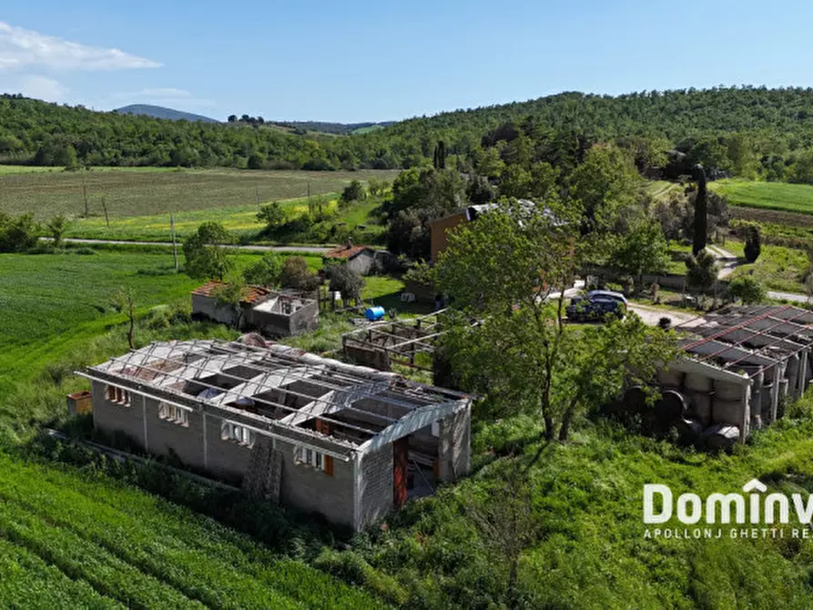 Immagine 10 di Rustico / casale in vendita  in Strada della Sgrilla a Capalbio