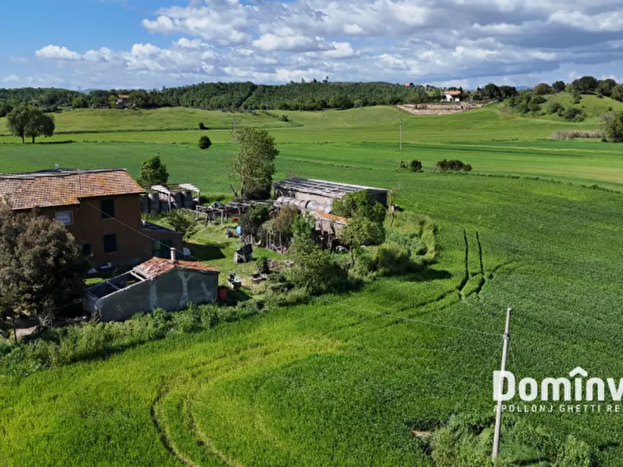 Immagine 11 di Rustico / casale in vendita  in Strada della Sgrilla a Capalbio