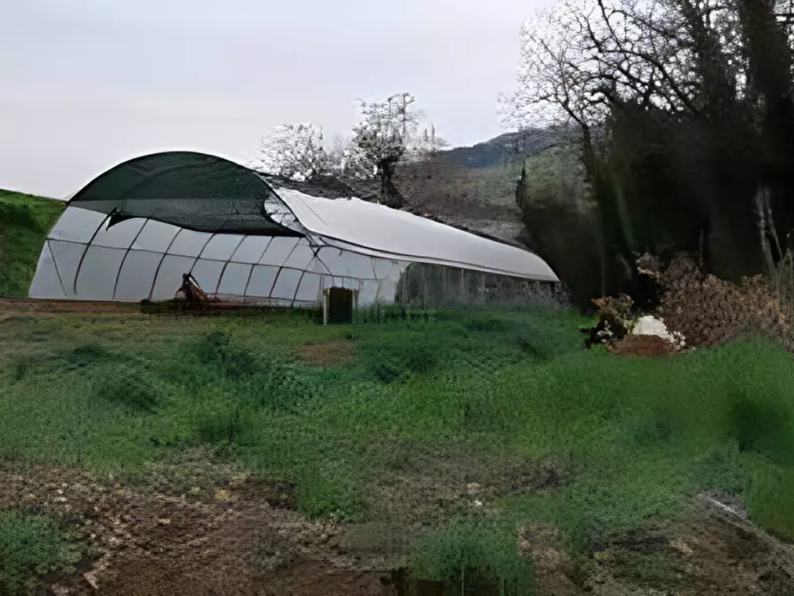 Immagine 2 di Terreno in vendita  in Contrada Sant'Imero a Ripatransone