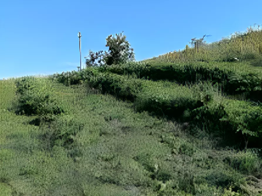 Immagine 3 di Terreno in vendita  in Contrada Sant'Imero a Ripatransone